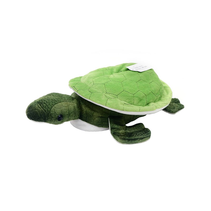 Lindas pantuflas de tortuga verde